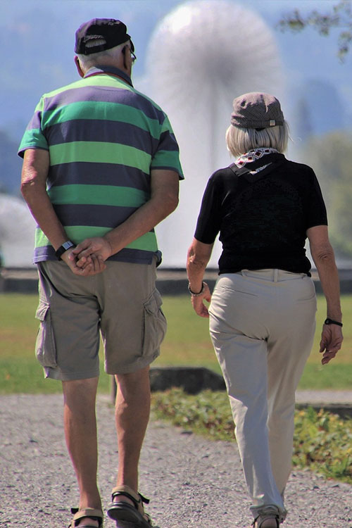 About SeniorMatch NZ